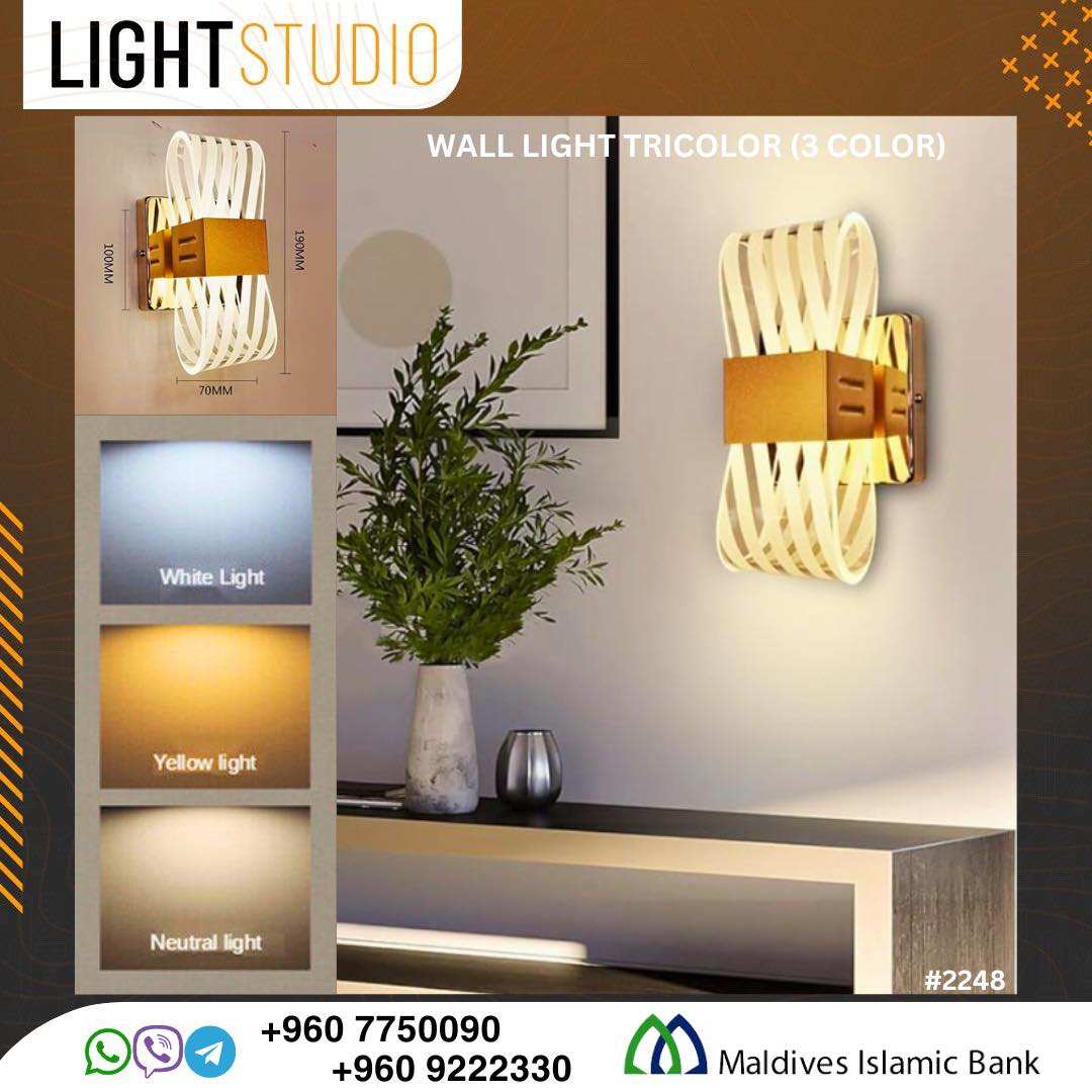 # 2248 WALL LIGHT